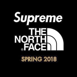 Rumored Supreme/The North Face Jacket Spring 2018