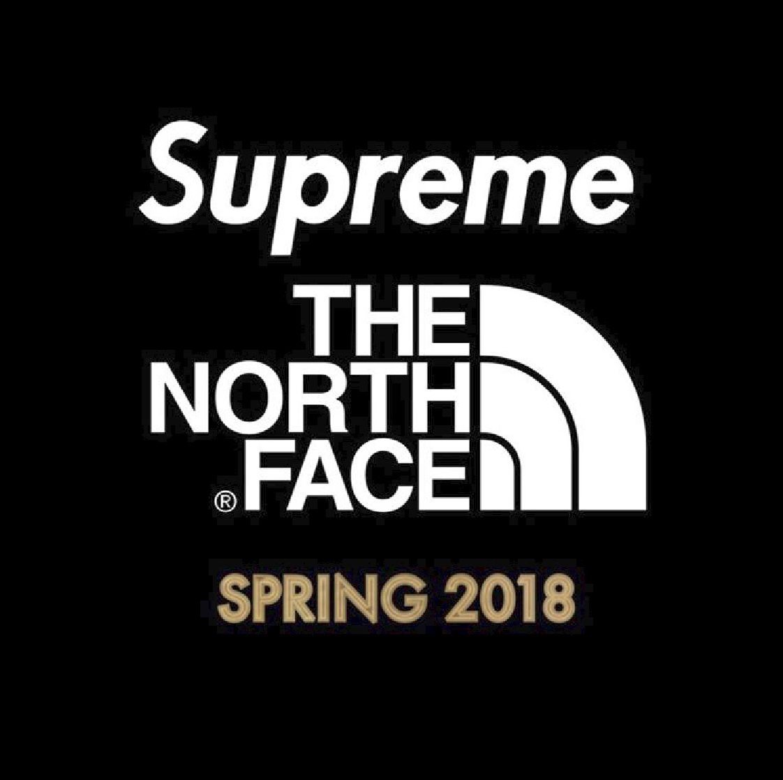 supreme north face logo