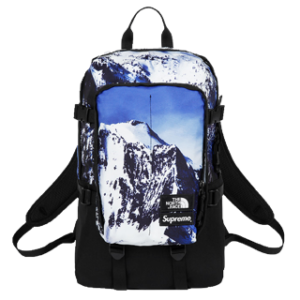 Fall/Winter 2017 Supreme Backpack