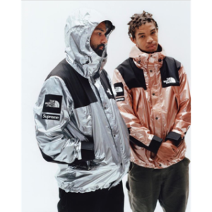 Supreme x The North Face Spring/Summer 2018