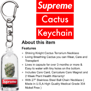 Supreme Cactus Keychain