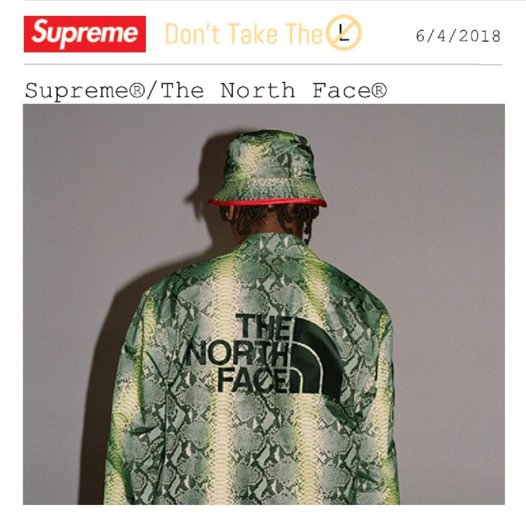 Supreme x The North Face Snake Print Collection