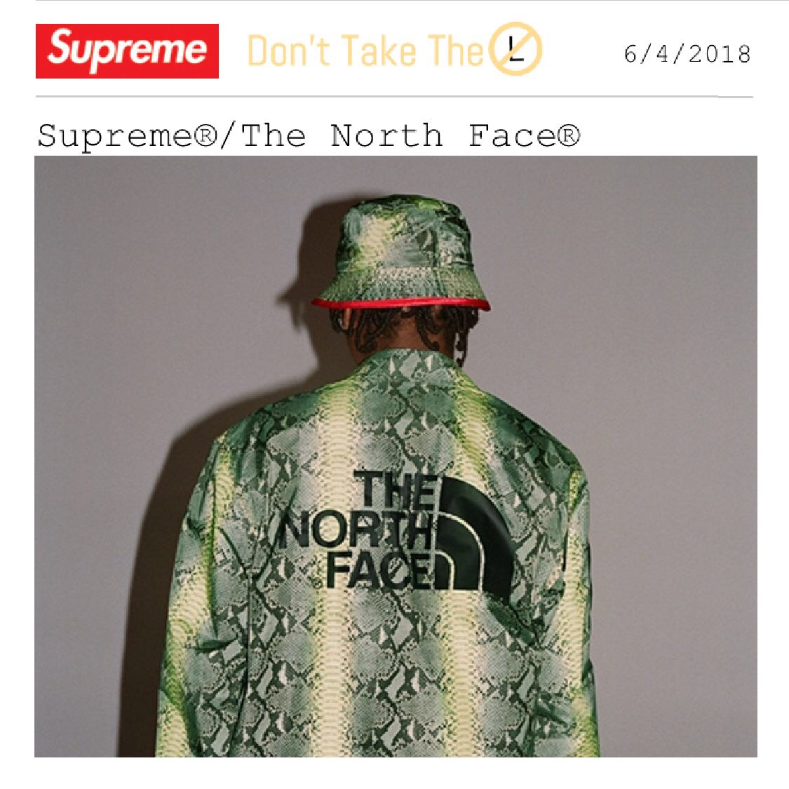 supreme the north face snake